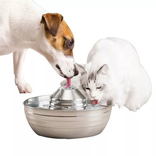 Auto Stainless Water Dispenser - Pet Tenderness