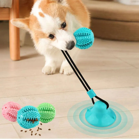 Pet Ball Educational And Interactive Toy - Pet Tenderness